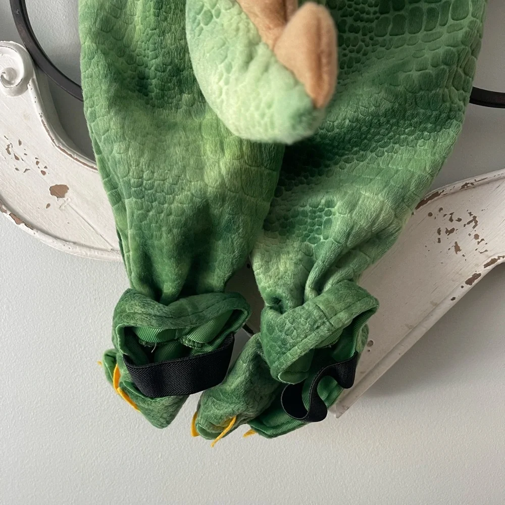 Kid’s Dinosaur Costume